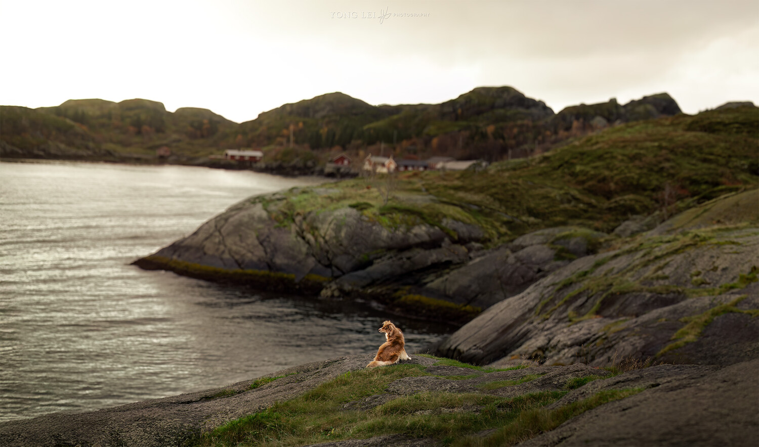 Person sitting on moss-covered rocks overlooking a coastal bay with mountains beyond