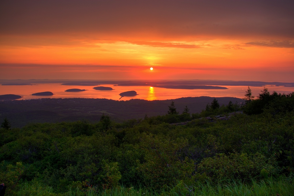 View Untitled 1 by Eric Fitzgerald