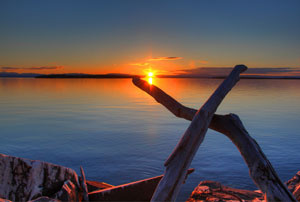 View Untitled 4 by Eric Fitzgerald