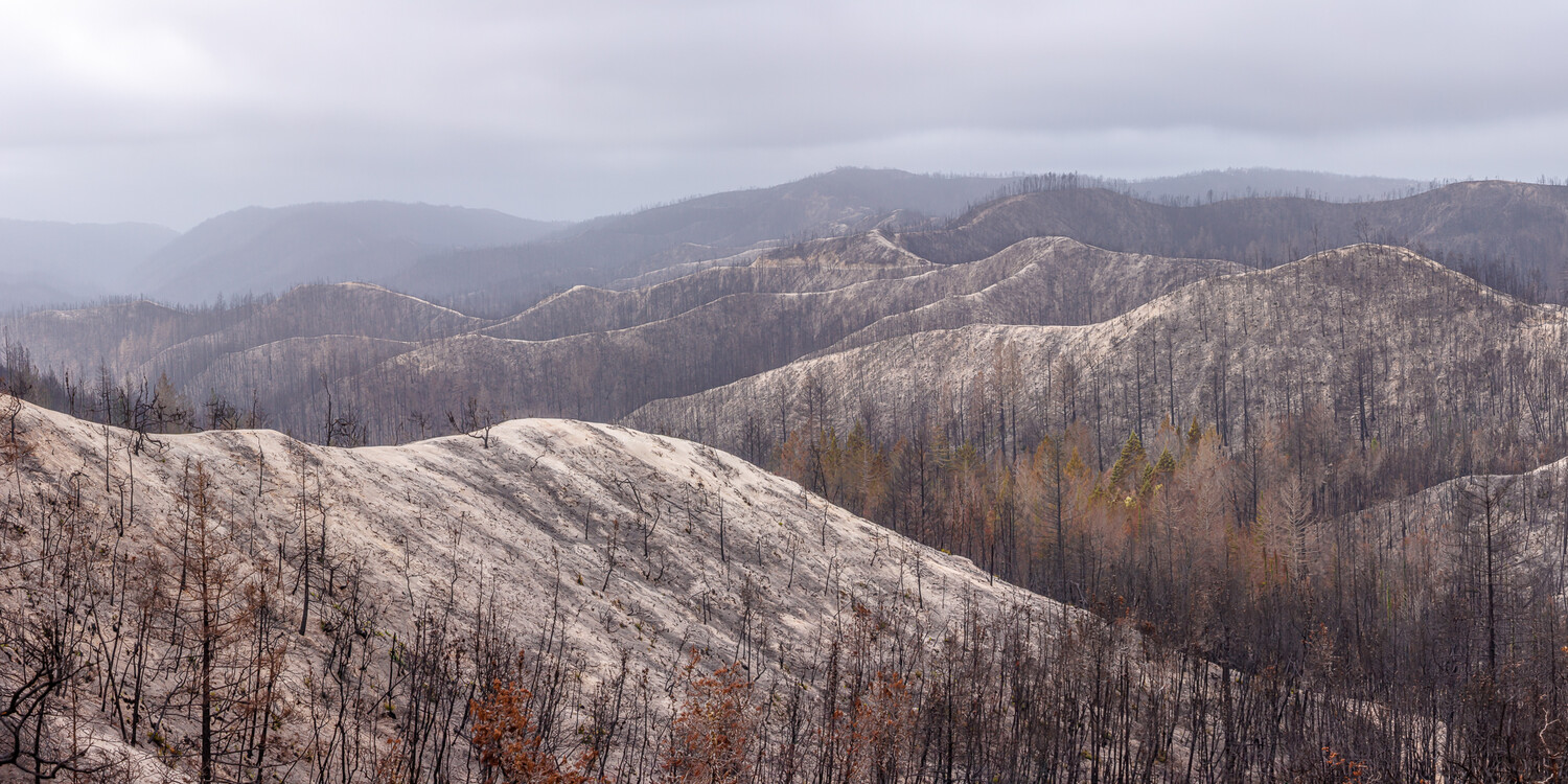 Mountainous landscape with burned forest recovering after wildfire, snow-dusted slopes