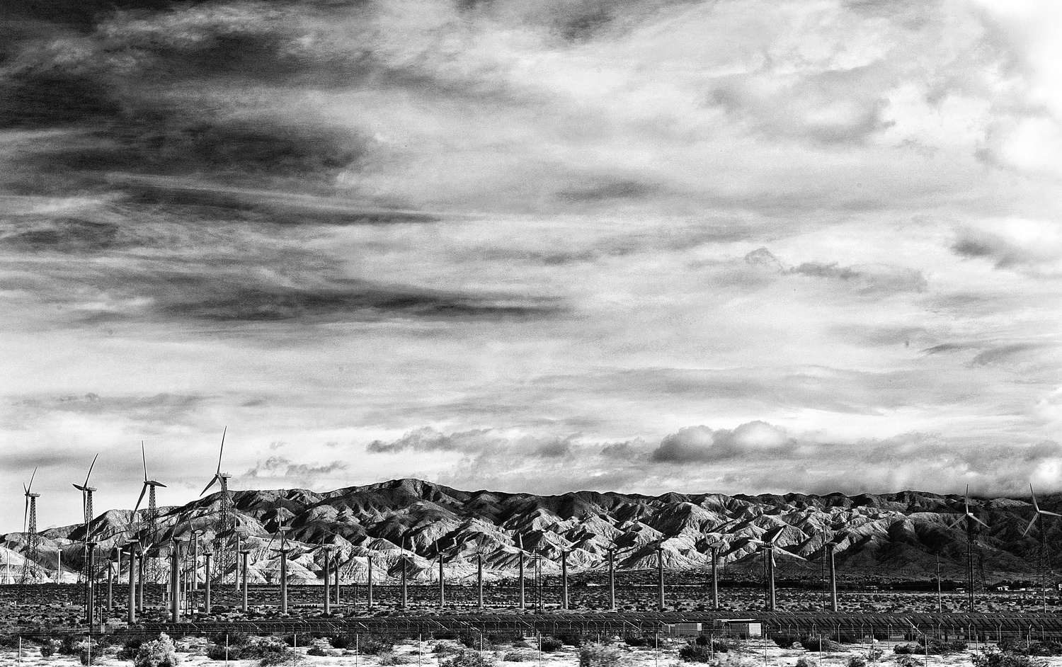 View Untitled 2 by guillermo rivera