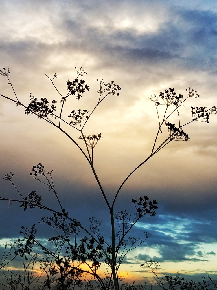 View Untitled 5 by guillermo rivera