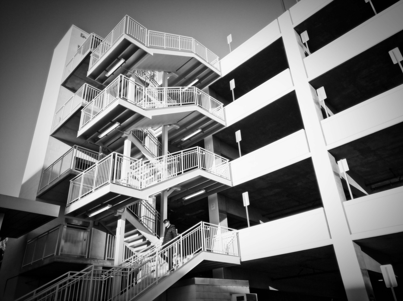 View Untitled 7 by guillermo rivera