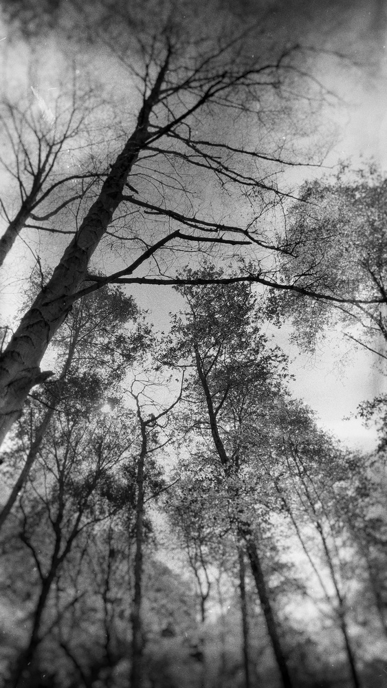 View Untitled 12 by guillermo rivera