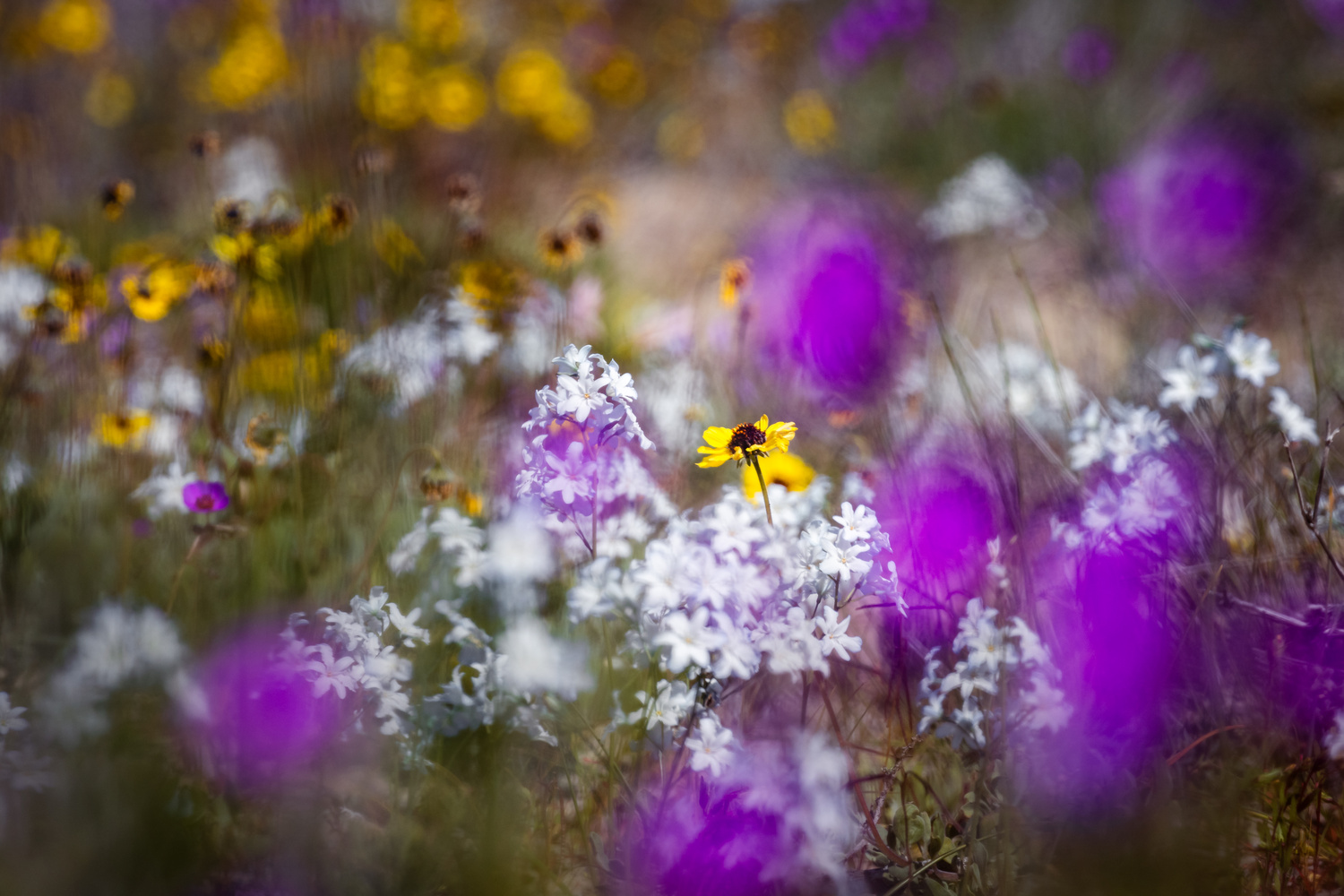 Color Contest Entry By Jonathan Hodge Fstoppers color-contest-entry-by-jonathan-hodge-fstoppers