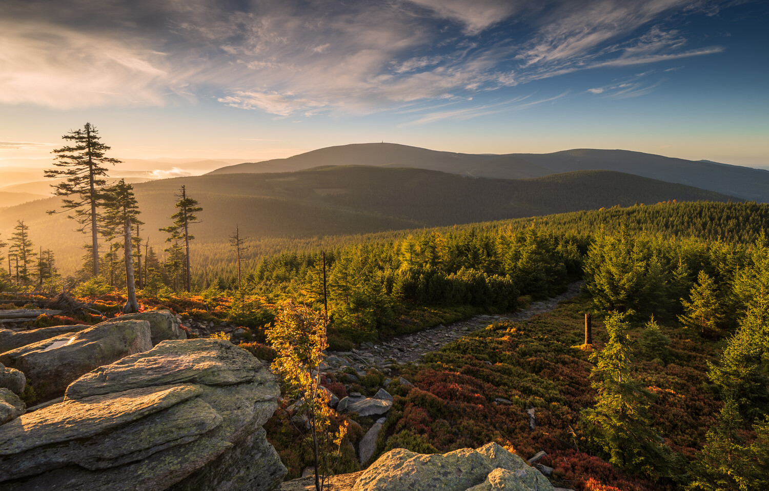 Mountain landscape at golden hour with forested slopes and rocky outcropping in foreground