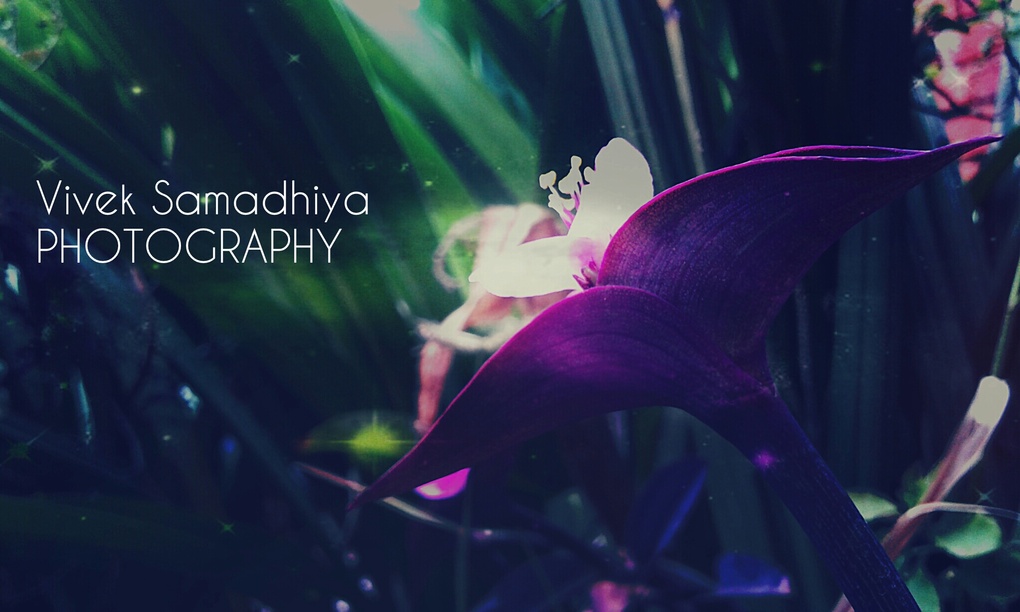 View Untitled 4 by vivek samadhiya