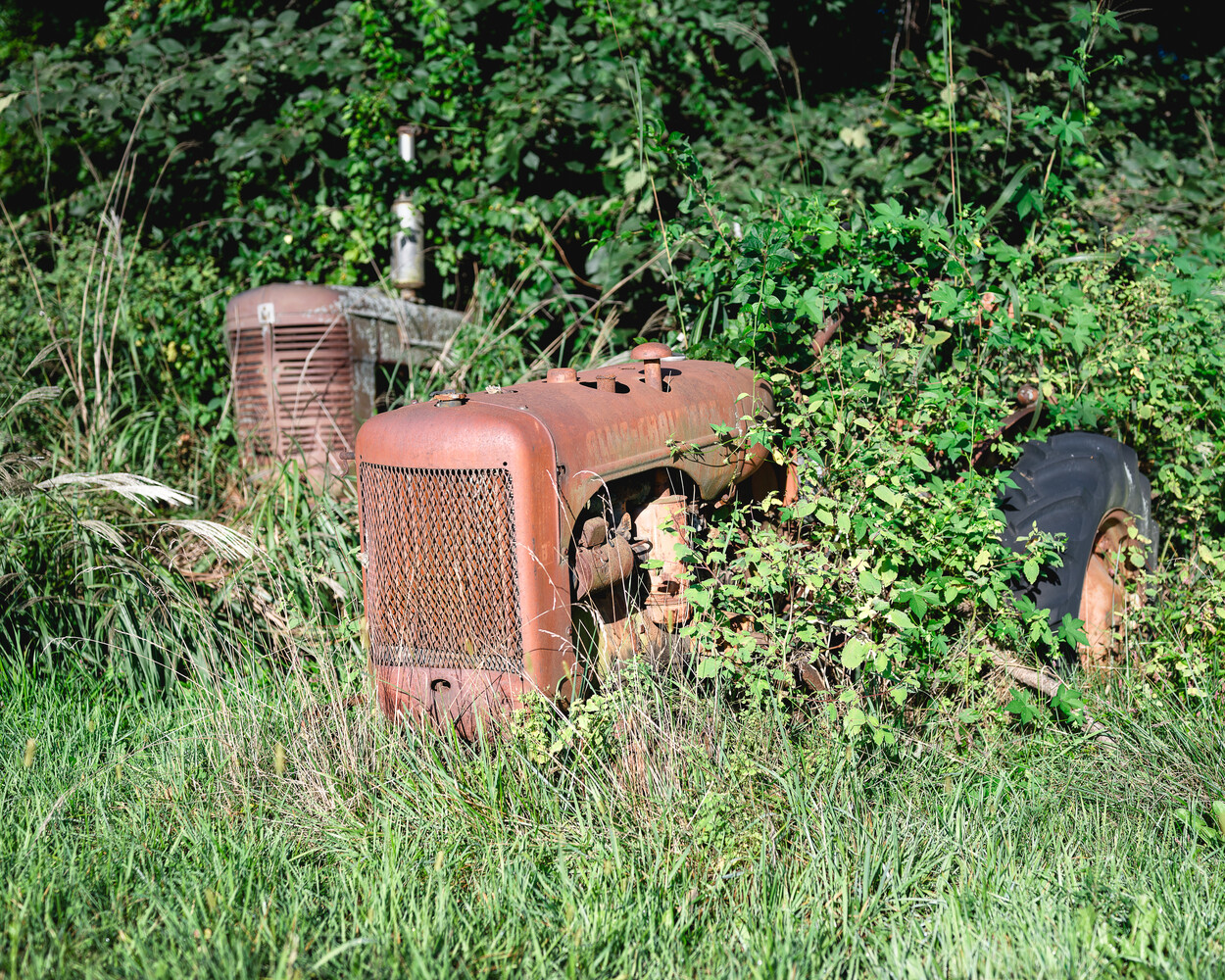Abandoned rusted tractor overgrown with vines and grass
