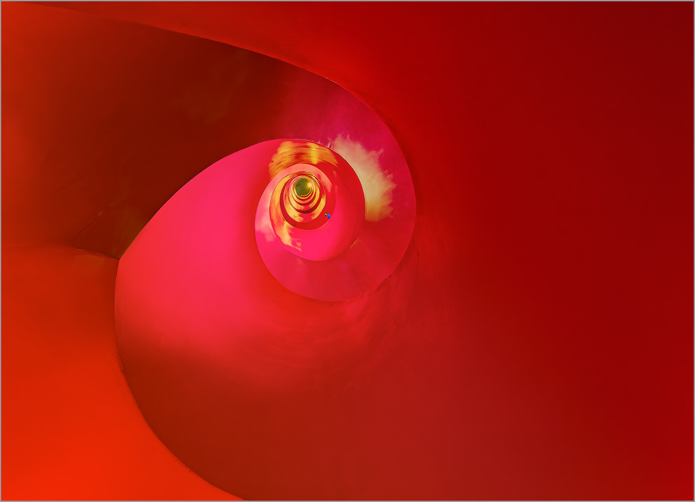 Abstract spiral of vibrant red and pink petals forming a tunnel toward a golden rose center