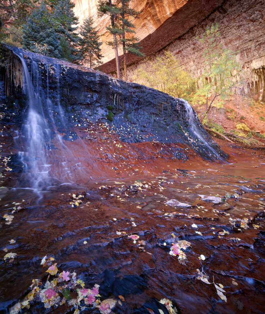 Waterfall spilling over a dark ledge into a pool of fallen autumn leaves beneath a red sandstone alcove