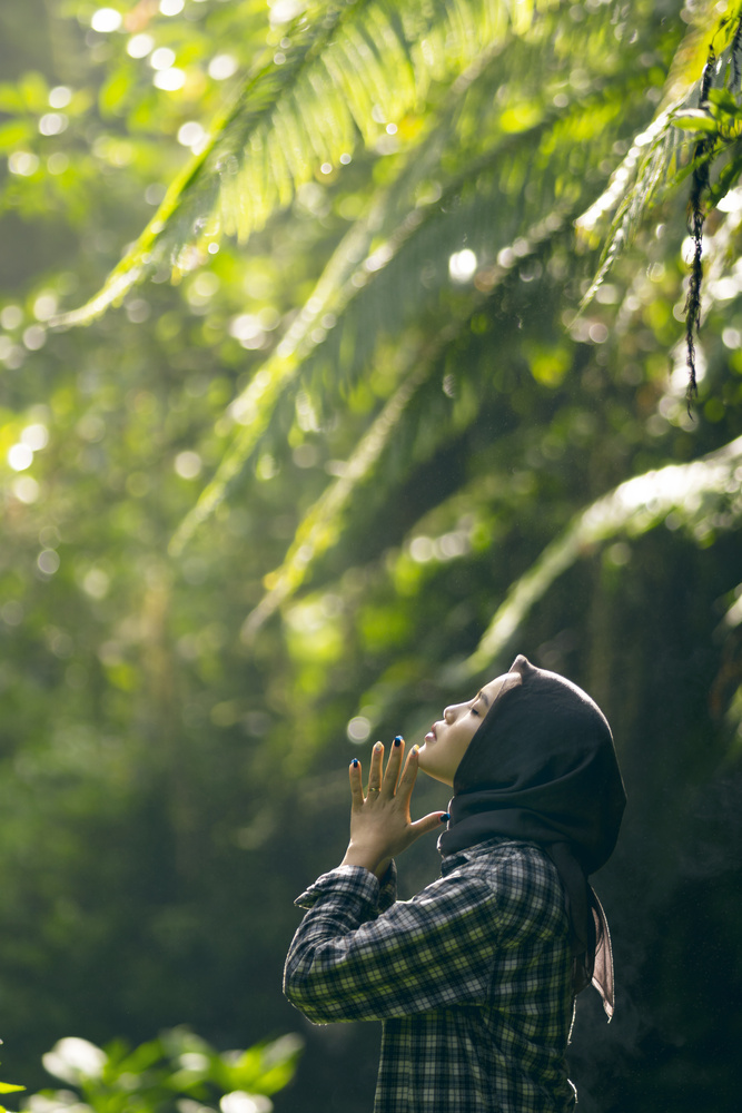 View Untitled 1 by Rully Aan Firmansyah