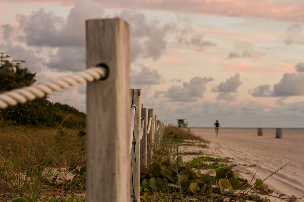 View Mami beach by gasnel banks