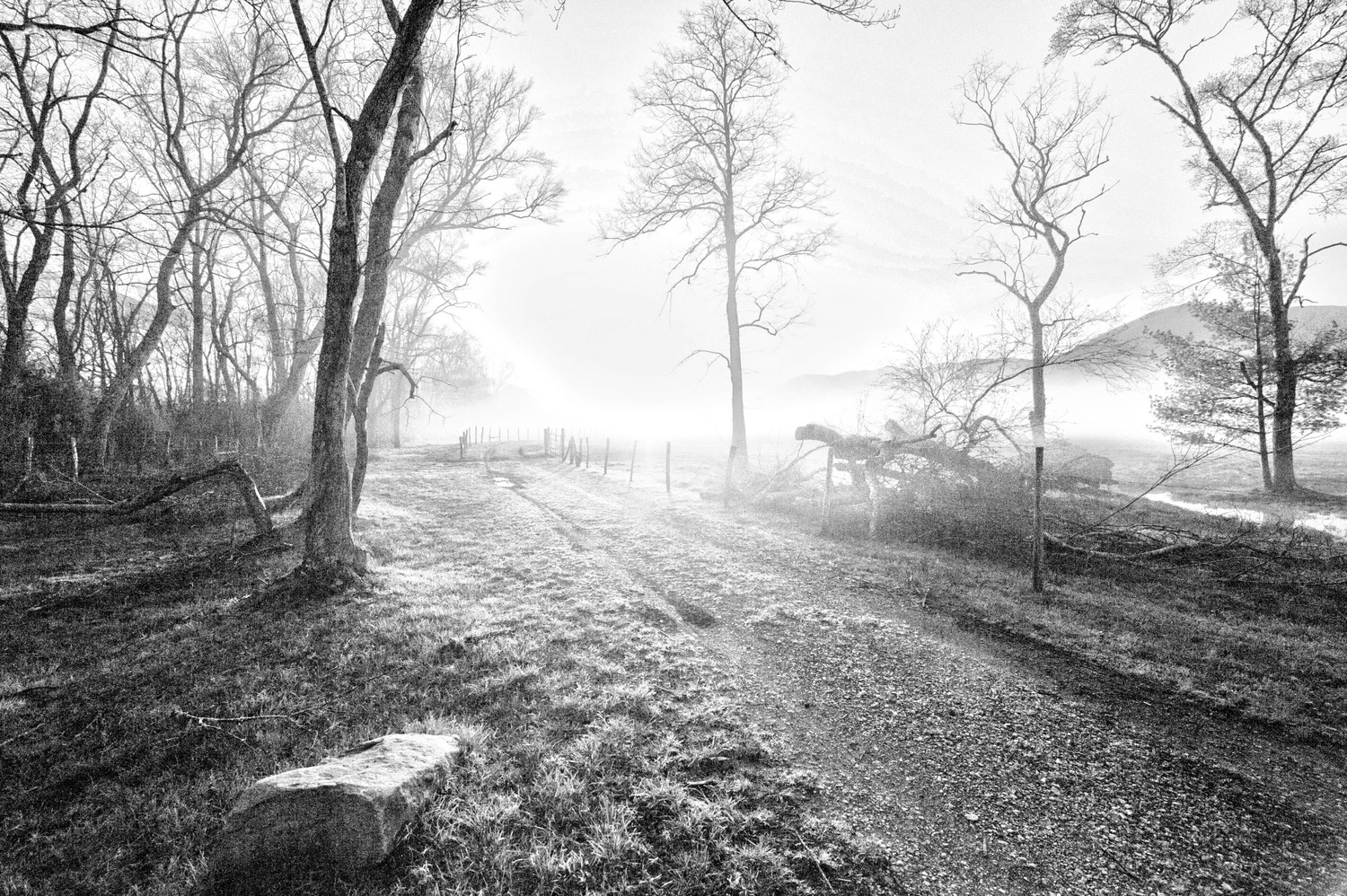 View Untitled 28 by Adam Griffin
