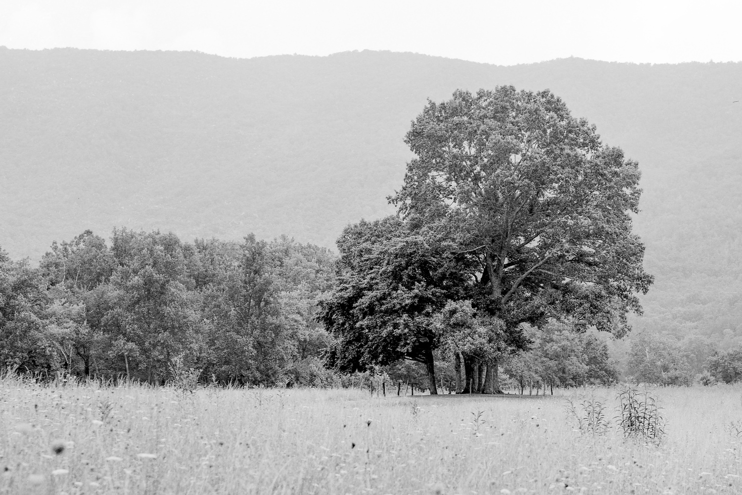 View Untitled 15 by Adam Griffin