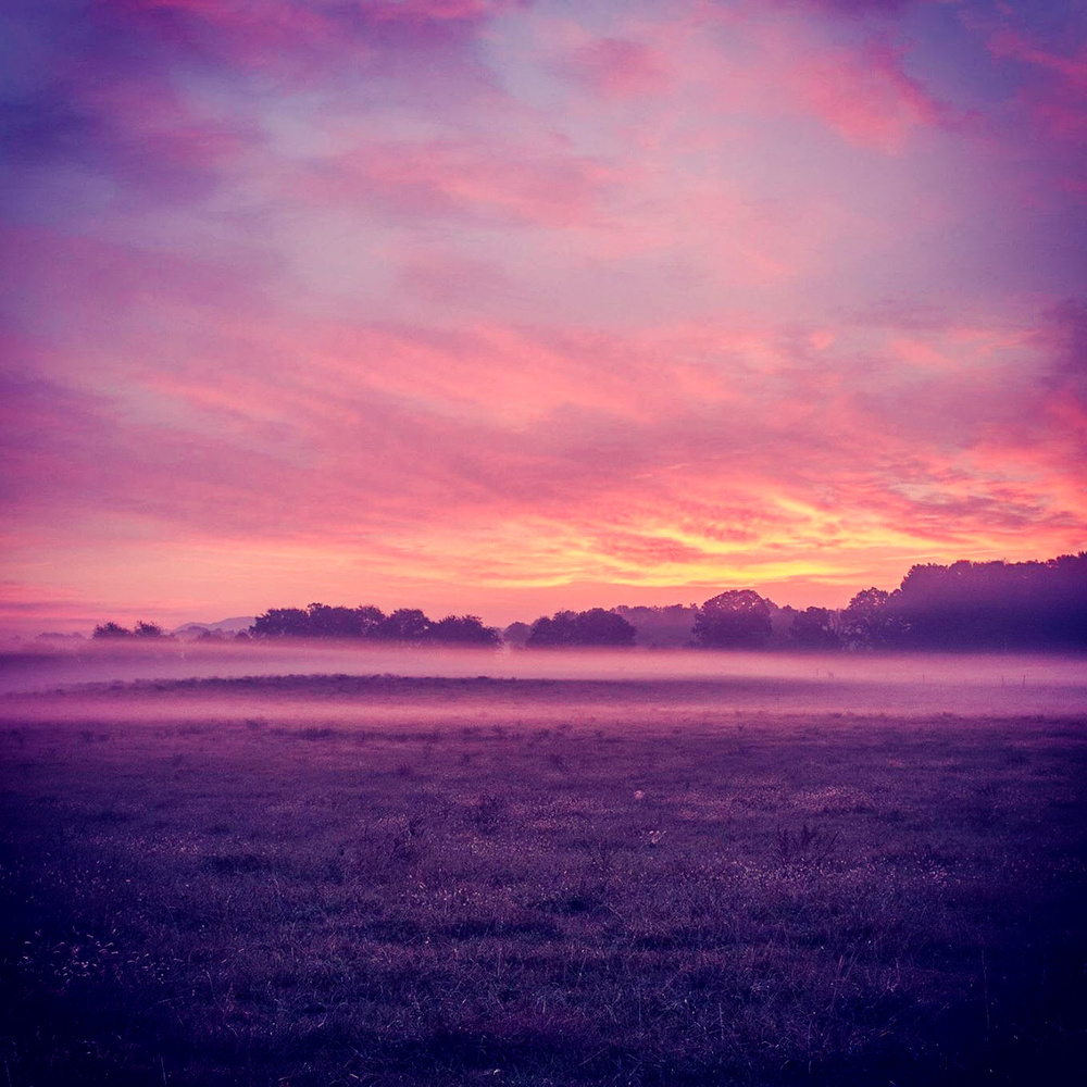 View Untitled 24 by Adam Griffin