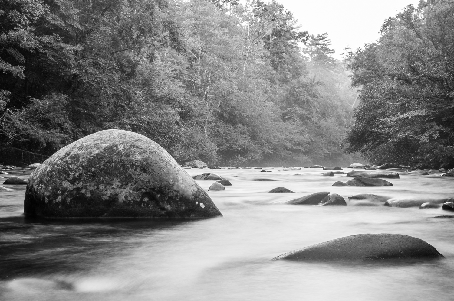 View Untitled 19 by Adam Griffin