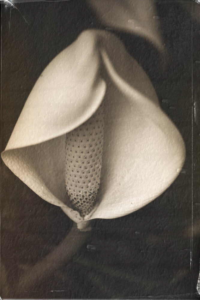 View Untitled 4 by Hope Gordon