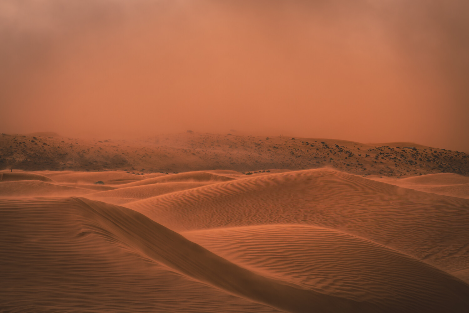 View Sand Storm by Brian Robinson