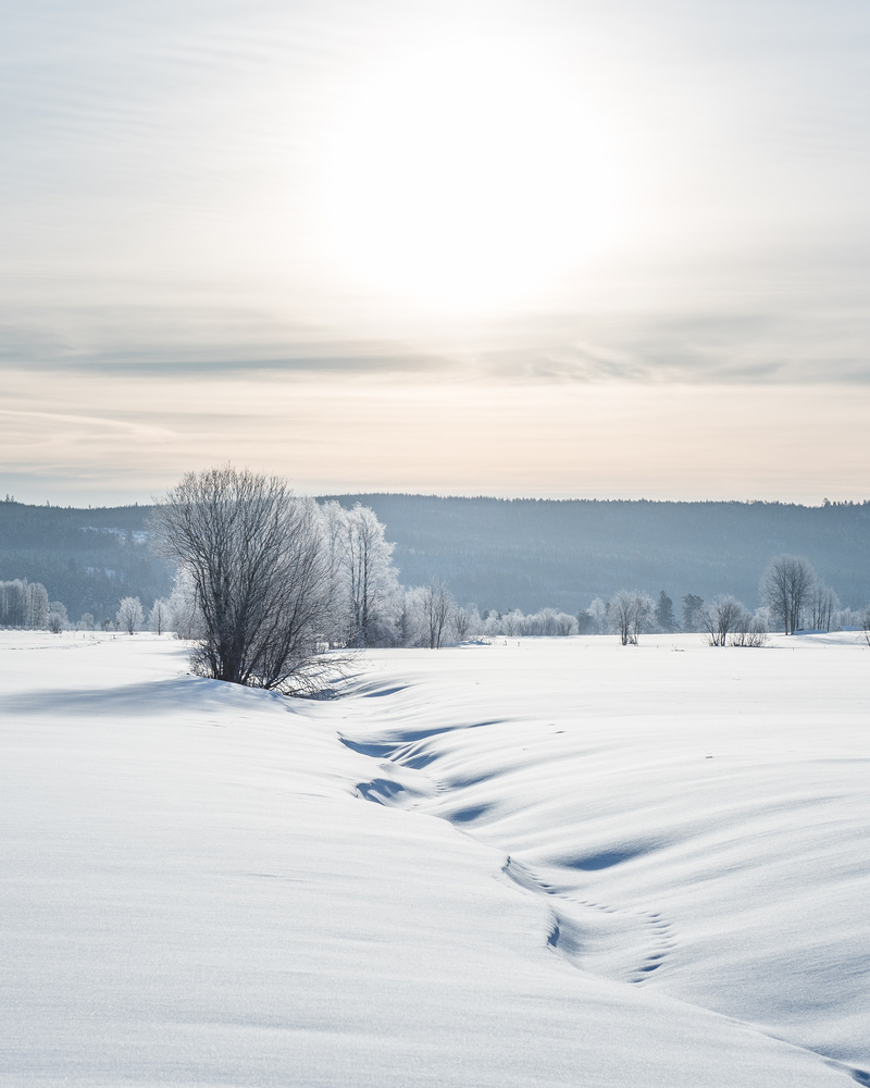 View Untitled 4 by Anders Bobert