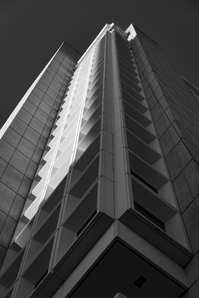View Looking Up #2 by Marcus Lowe