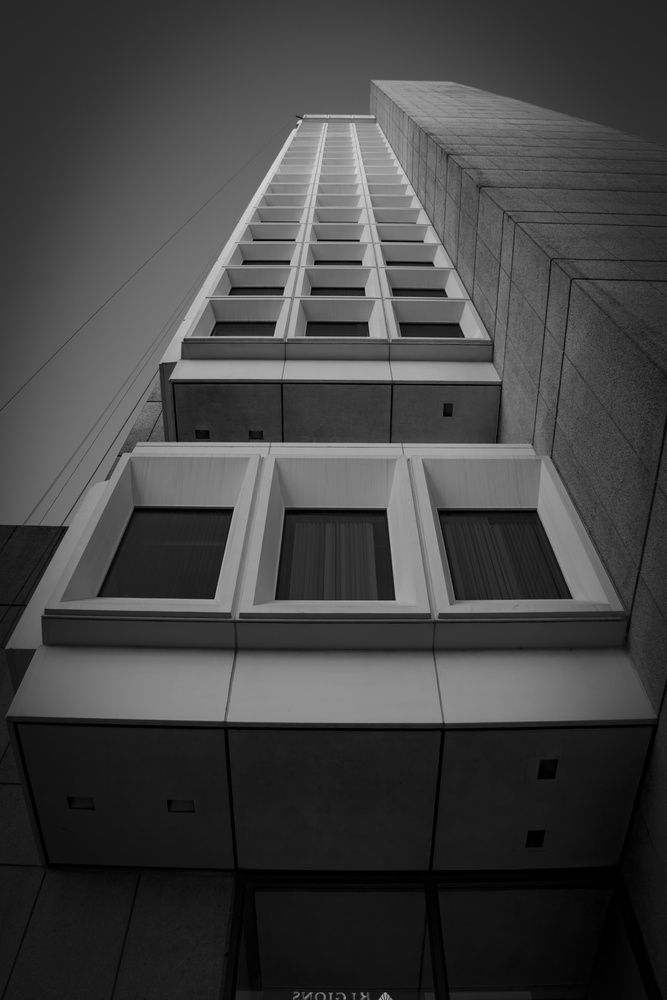 View Looking Up by Marcus Lowe