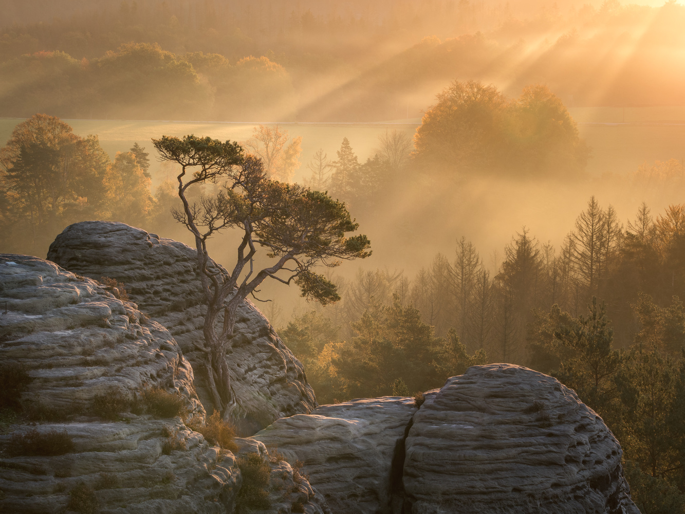 View Untitled 5 by Nils Steiner