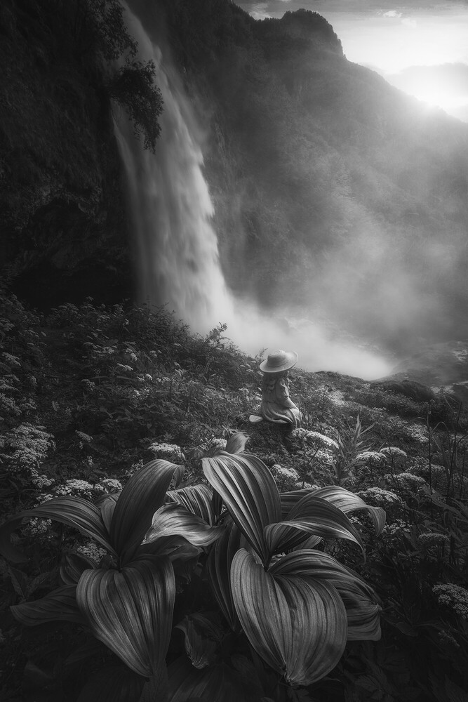Large-leafed plant in foreground with misty waterfall and rocky cliff in background