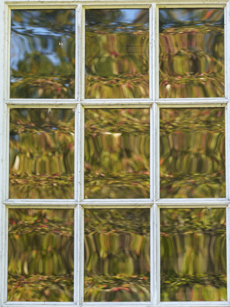 Nine-panel window grid showing foliage and sky reflections with varying focus and depth