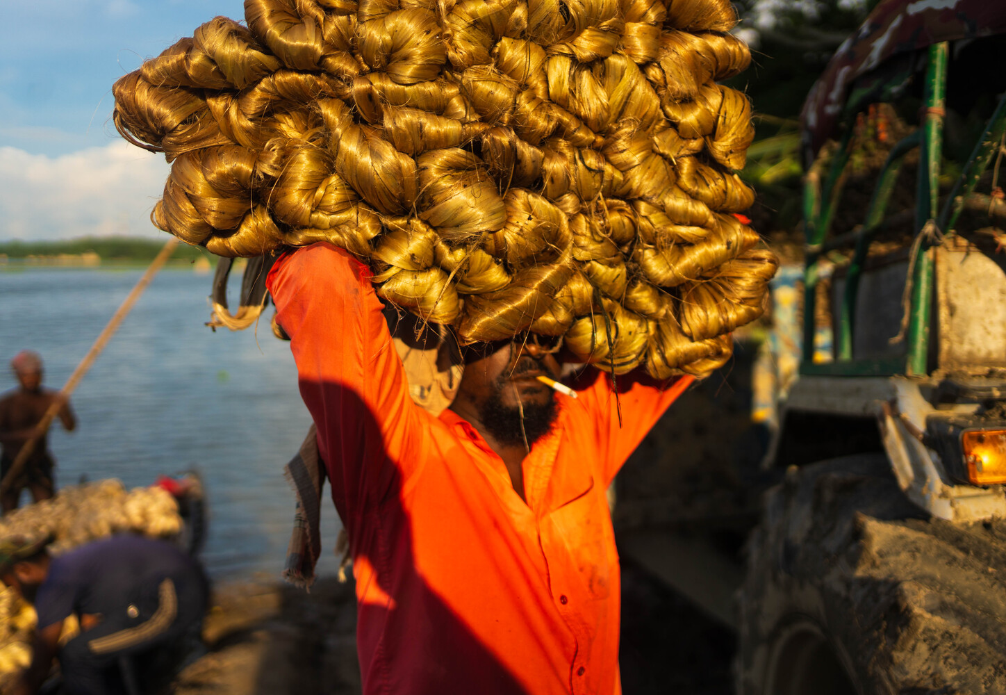Worker in orange shirt carrying large bundle of golden dried water hyacinth plants