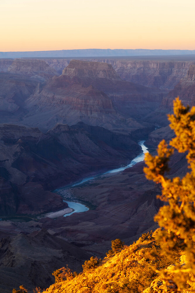 Golden foliage frames a winding river cutting through layered canyon walls at dawn