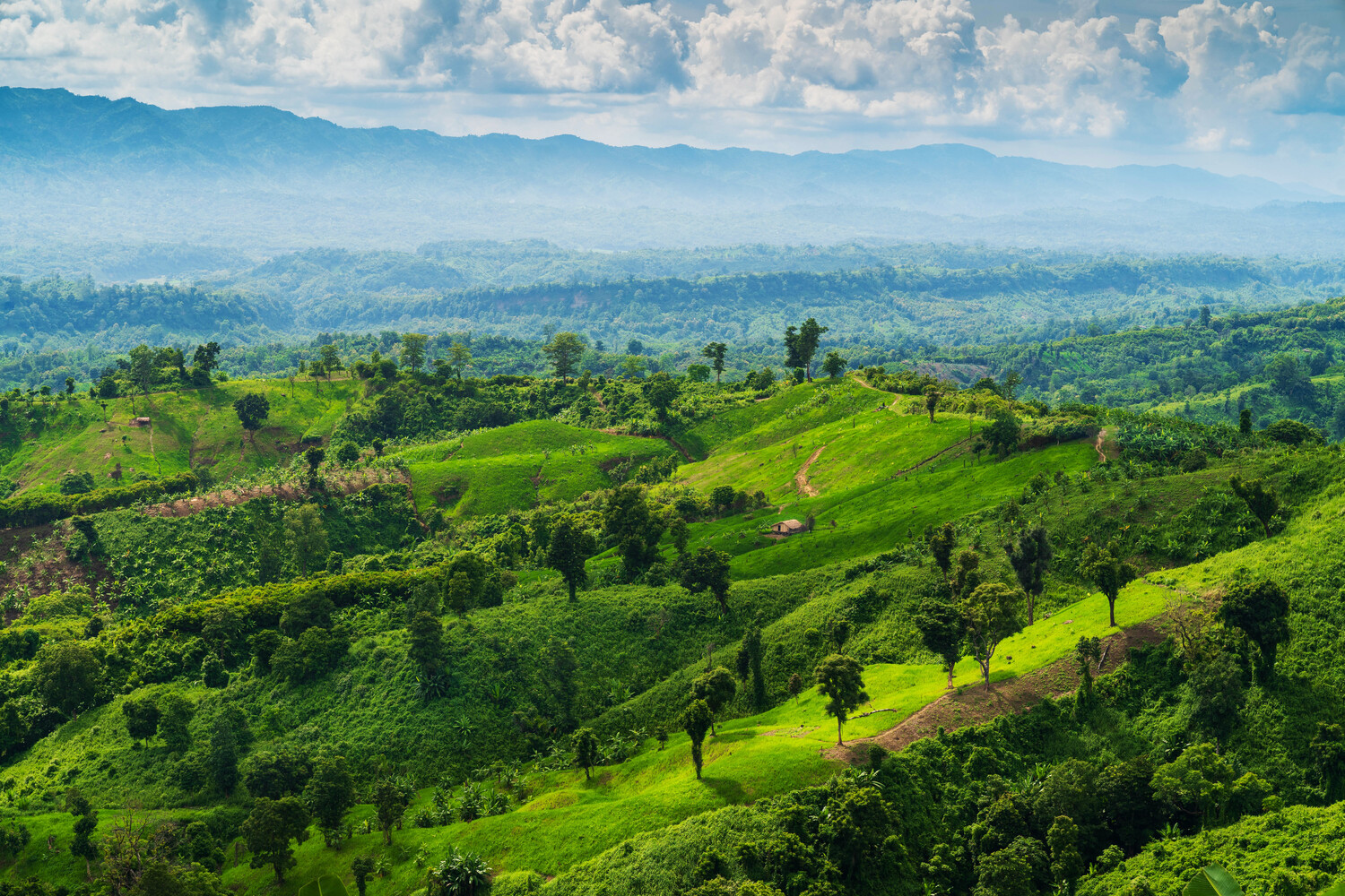 Rolling green hills with scattered trees and mountains in the misty distance under blue sky