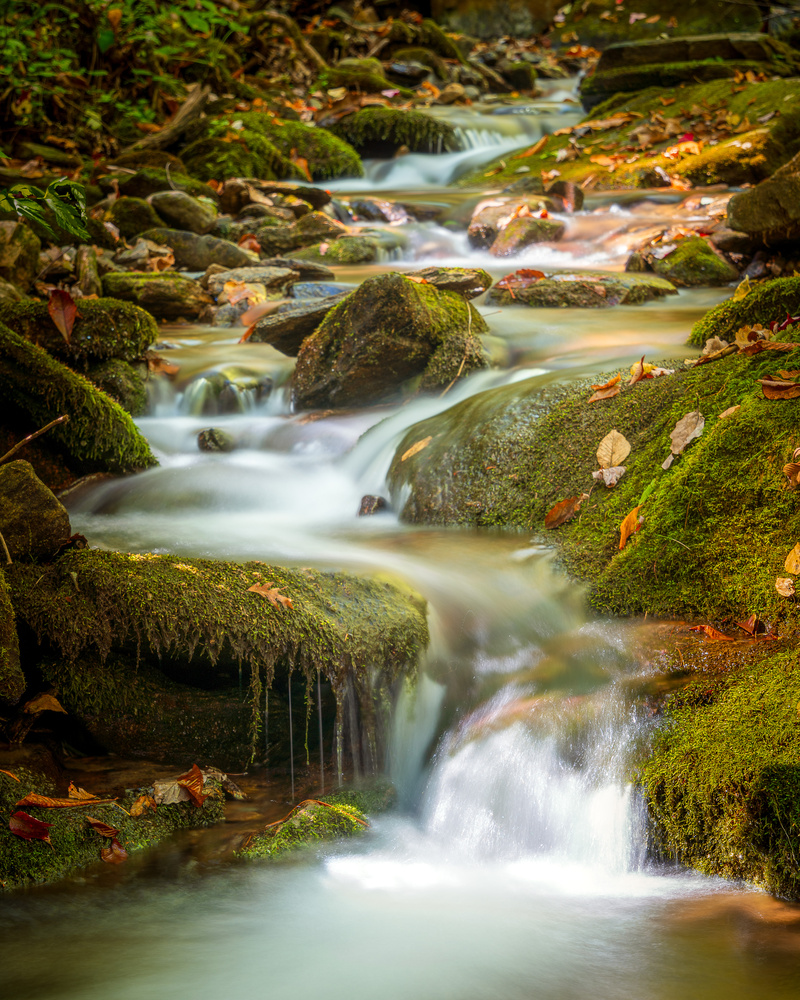 View Untitled 2 by Emre YILDIRIM