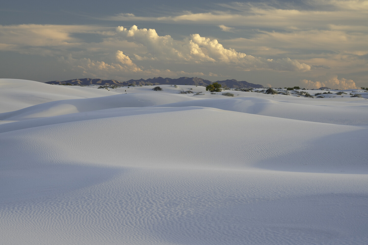 Smooth white gypsum sand dunes rolling toward distant mountains under a cloudy sky, with sparse desert shrubs scattered across the landscape.