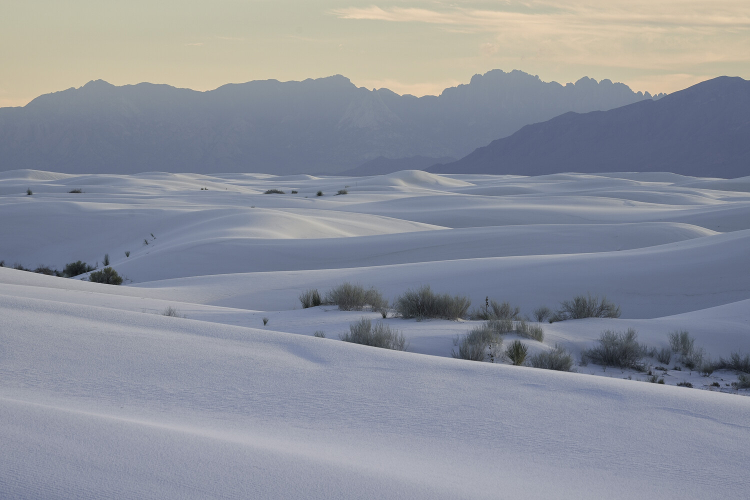 Rolling white gypsum sand dunes with sparse shrubs in the foreground and dark mountain ridges silhouetted under a pale dusk sky.