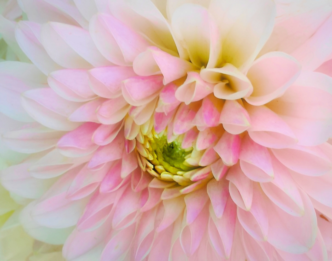 Color of Spring | Fstoppers