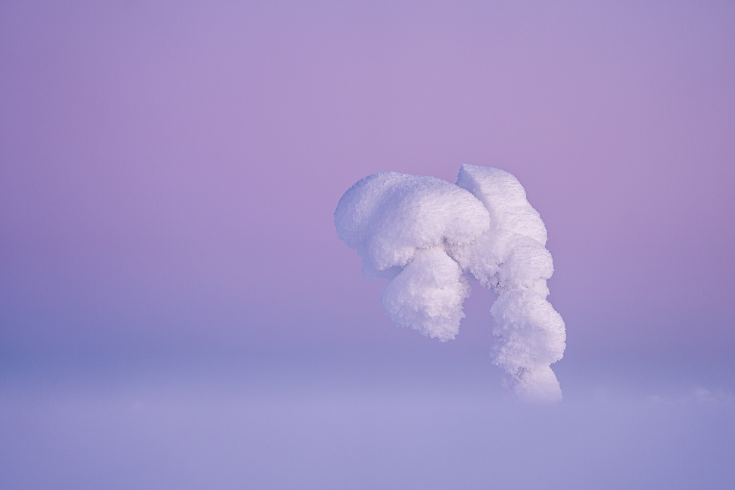 View Untitled 1 by Risto Kosk