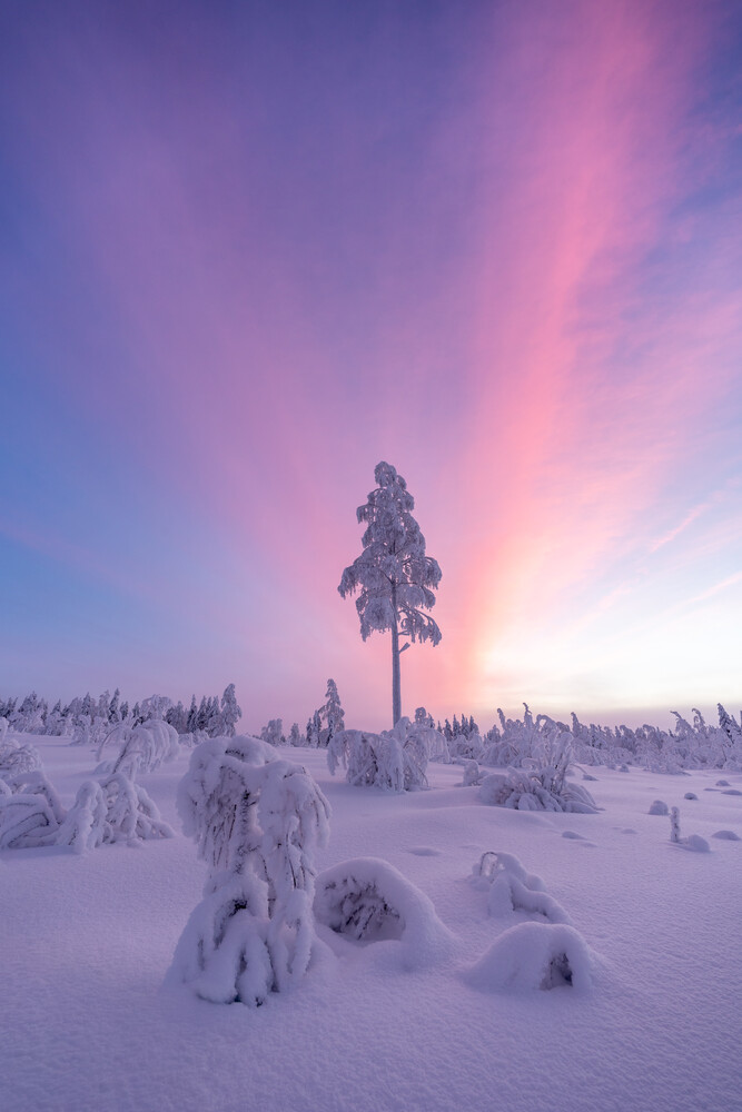 View Untitled 2 by Risto Kosk