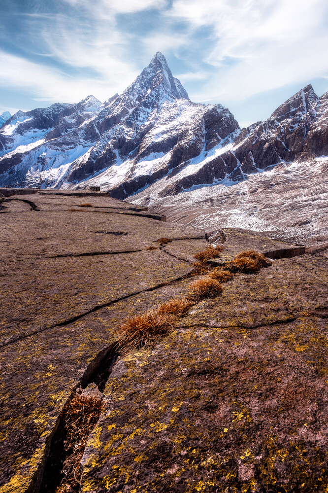 Weathered driftwood log on rocky ground with snow-capped mountain peak in background