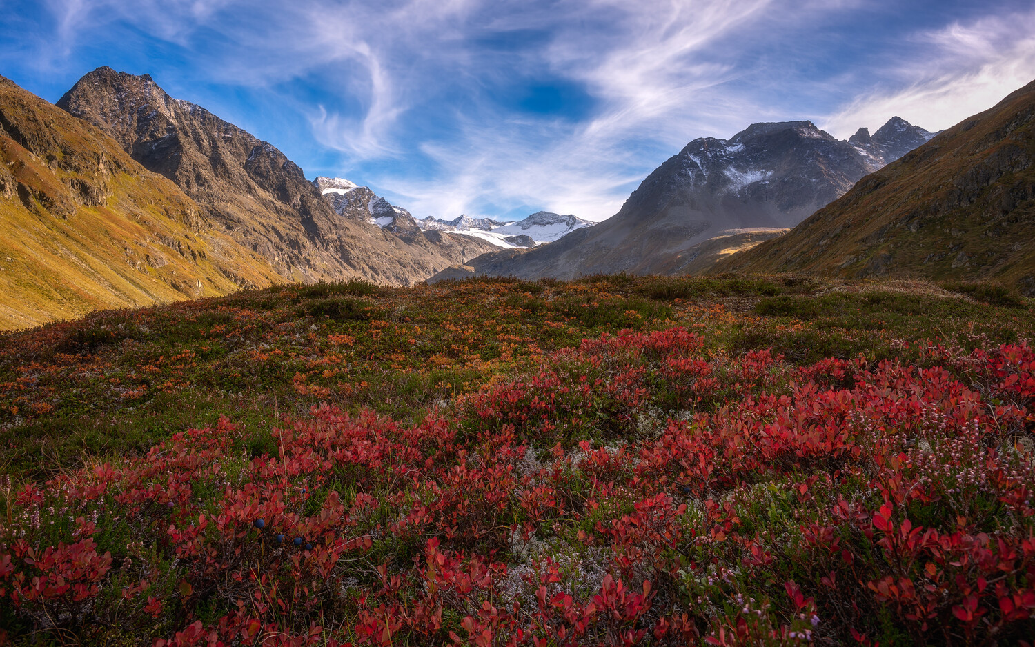 Field of red and orange alpine shrubs in autumn foliage beneath steep, rocky mountain slopes and a snow-dusted peak under a blue sky.