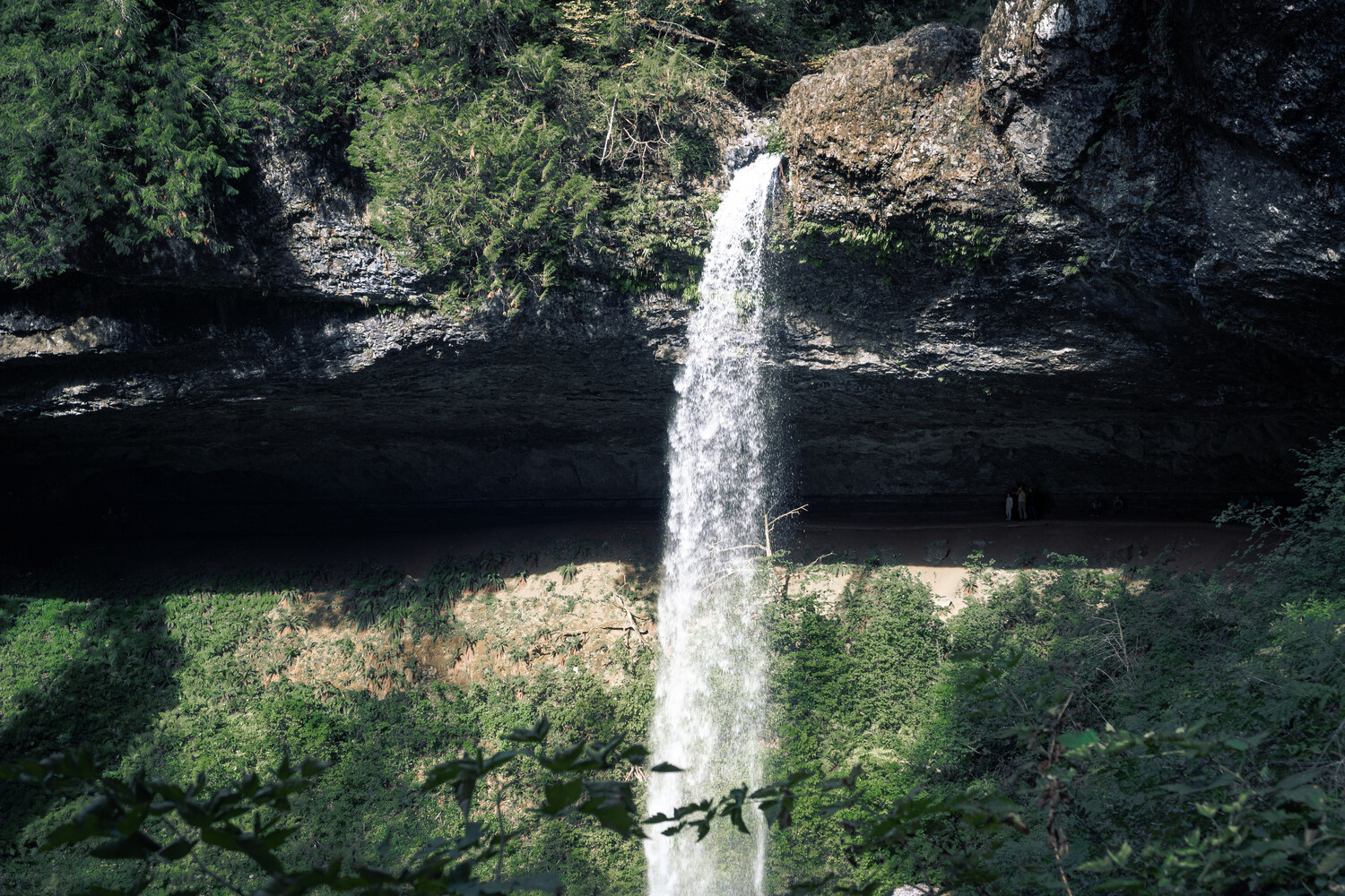 Aerial view of a waterfall cascading into a forested canyon surrounded by dense green vegetation