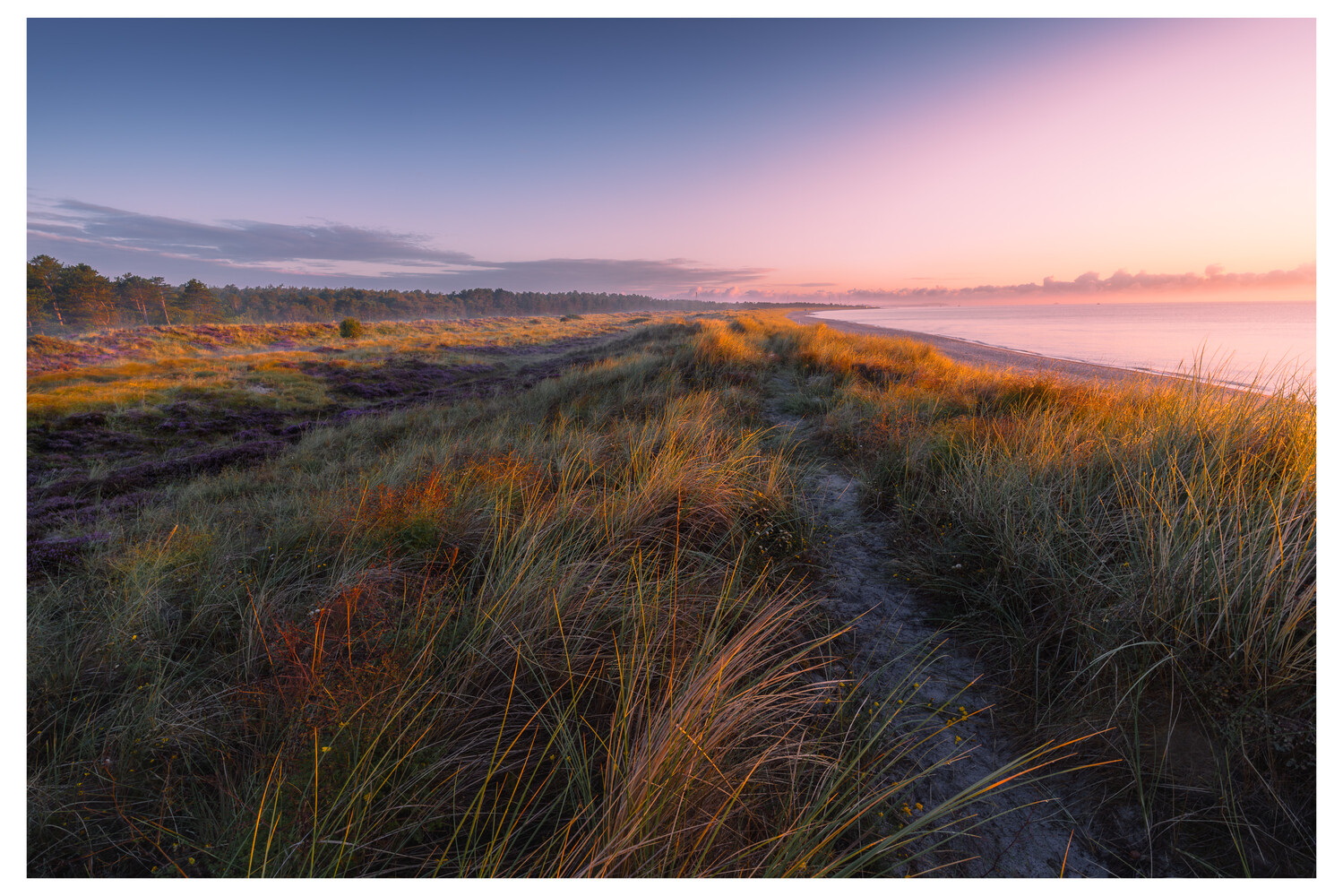 Sandy path through golden grasses leading toward a coastal horizon at sunset