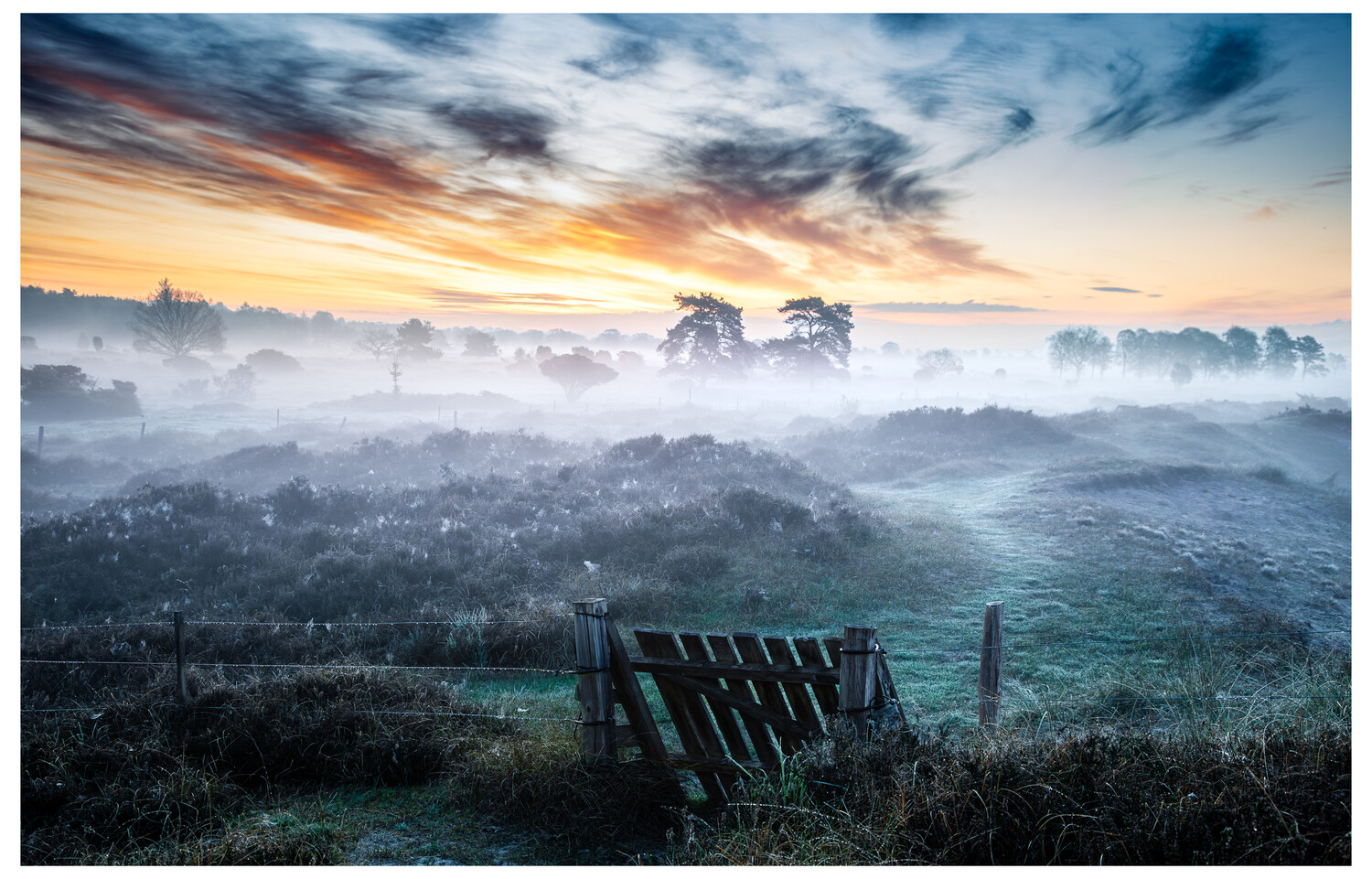 Misty dawn landscape with a wooden gate and fence in the foreground, low fog over heathland, and silhouetted trees under a sunrise sky.
