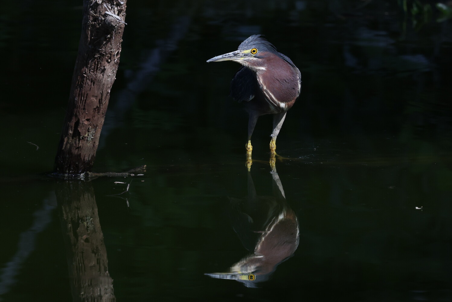 View Untitled 5 by Jason Perry