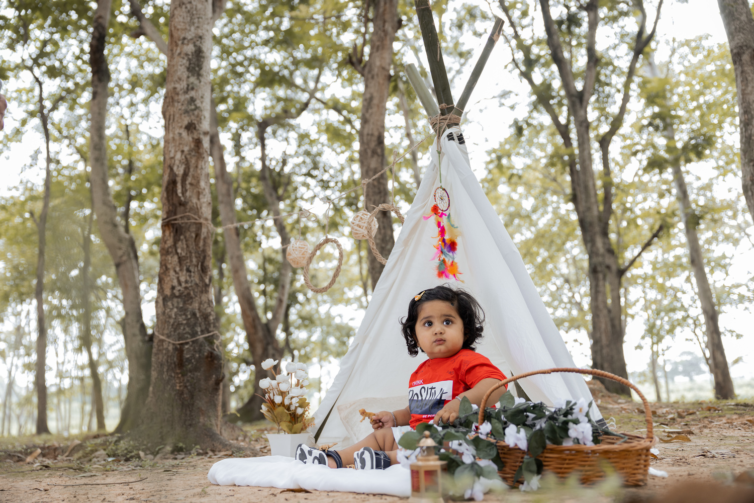 View Canopy Theme baby photoshoot by The Lens Fantasy Photography by The lens Fantasy Photography