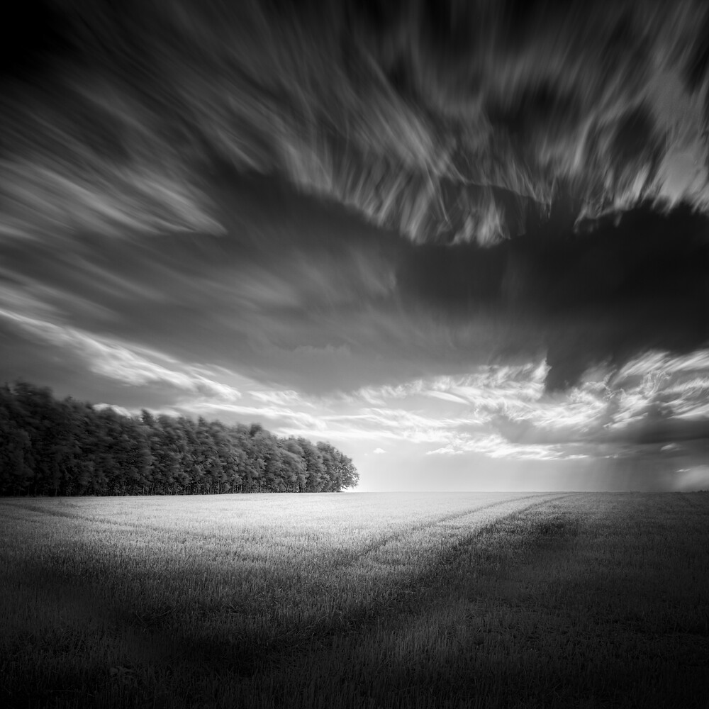 Dramatic black and white landscape with rolling grain field and treeline under stormy sky