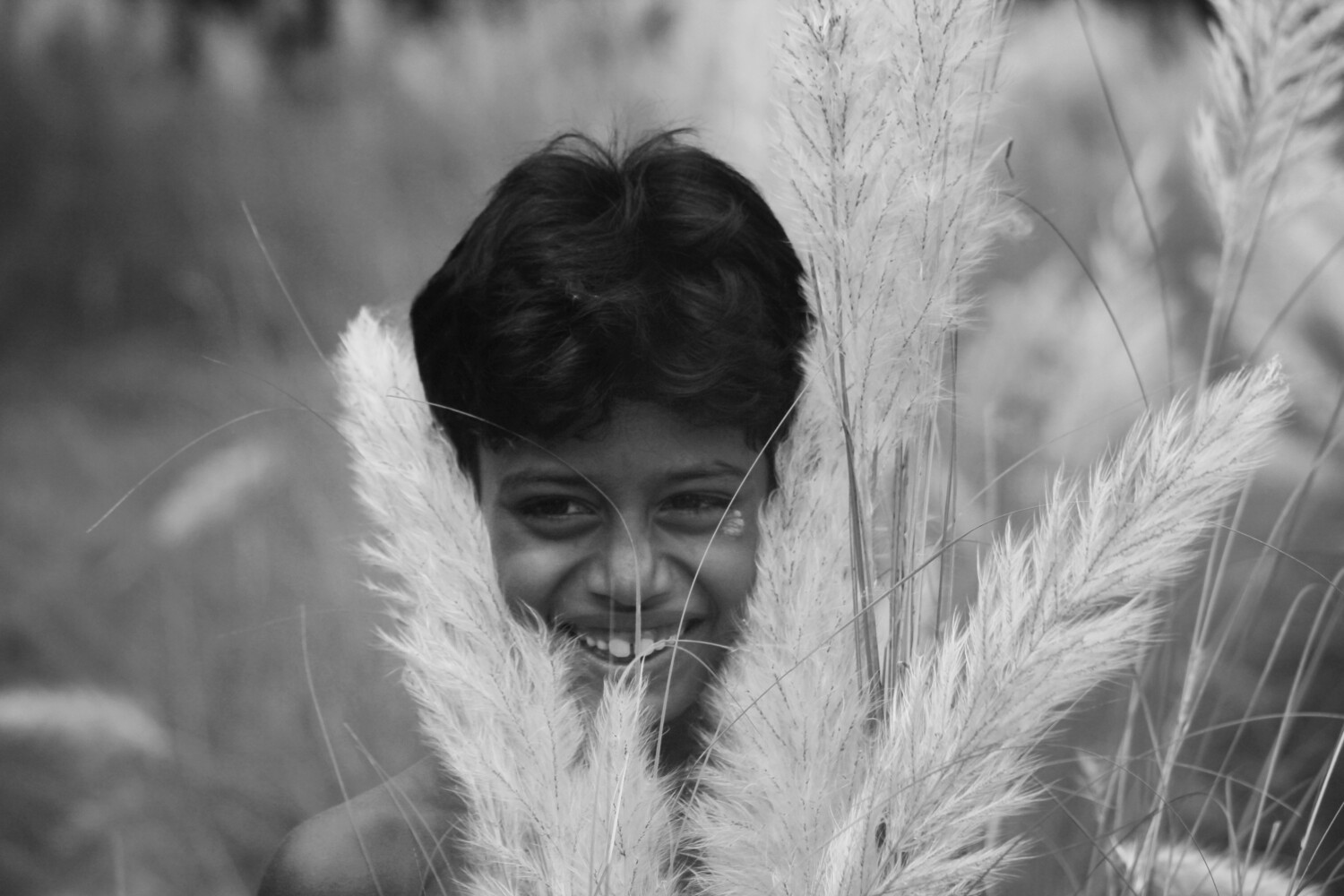 Young boy's face framed by tall ornamental grasses in black and white photography