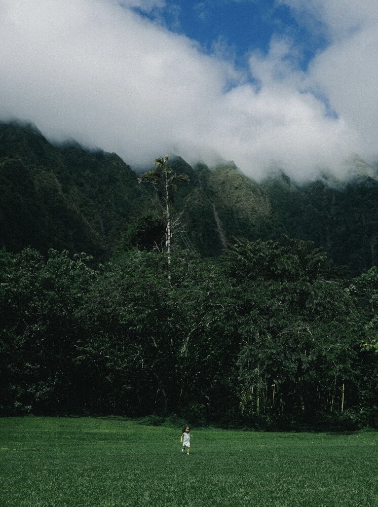 Solitary figure standing in vast green field facing dense forested mountain