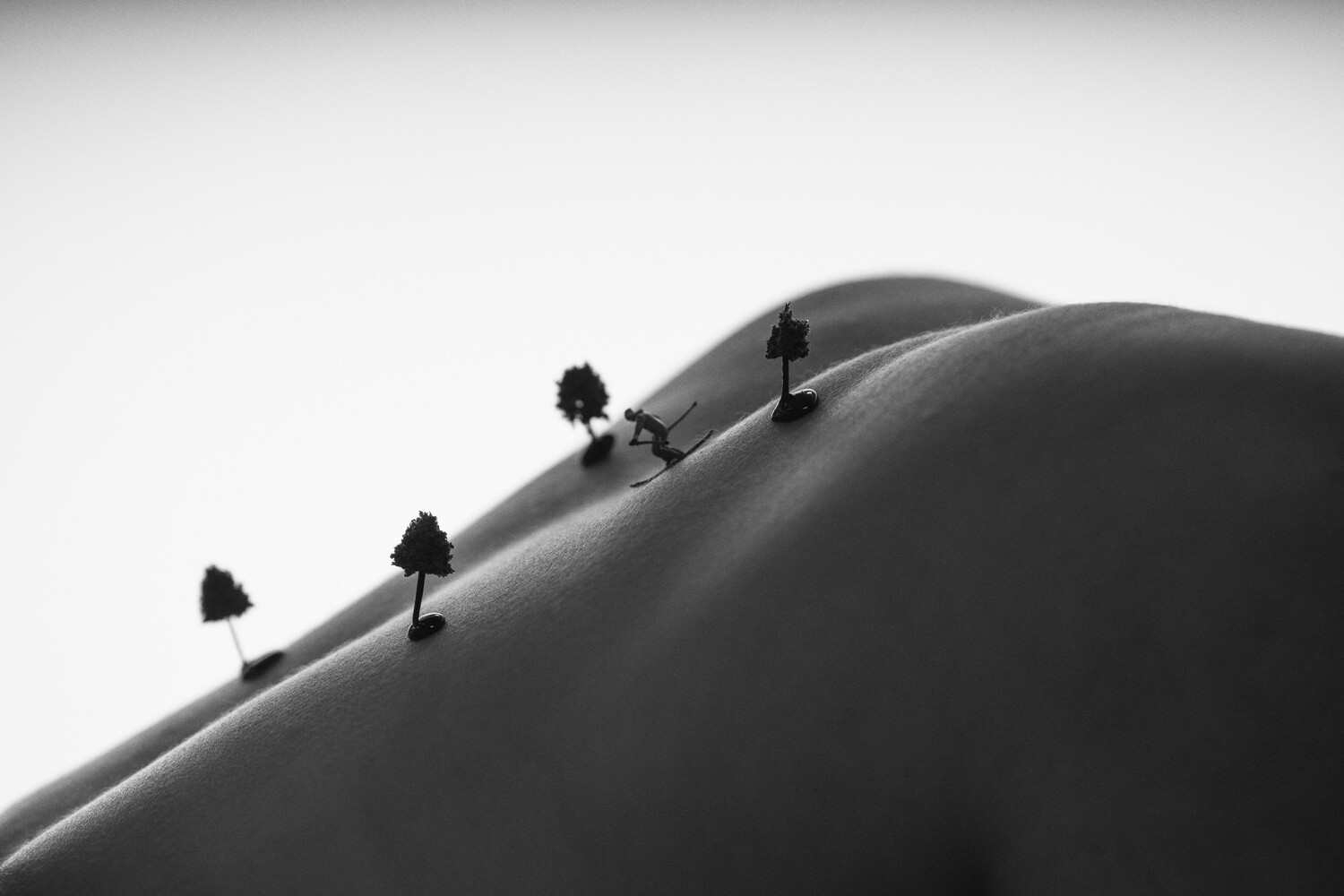 View Untitled 1 by Timothy Osier