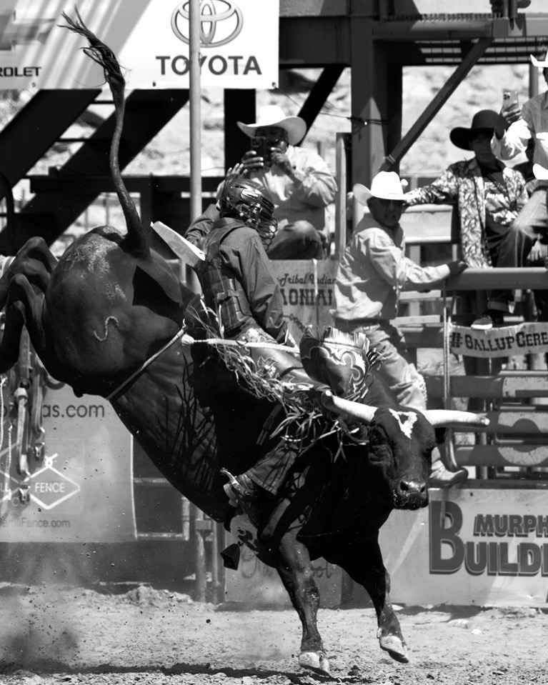 View Bull rider by Terry Gaume