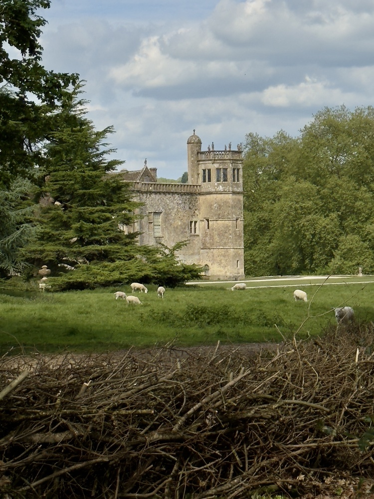View Hidden Castle by Terry Gaume